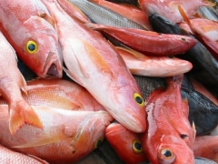 Рыбная Рыбная